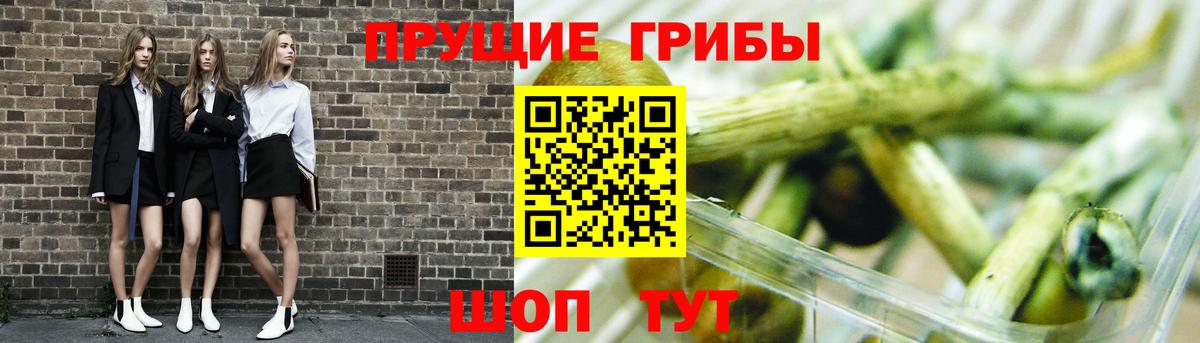 Галлюциногенные грибы Cubensis  Псилоцибиновые грибы мухоморы  Вход с VPN  Алексин 
